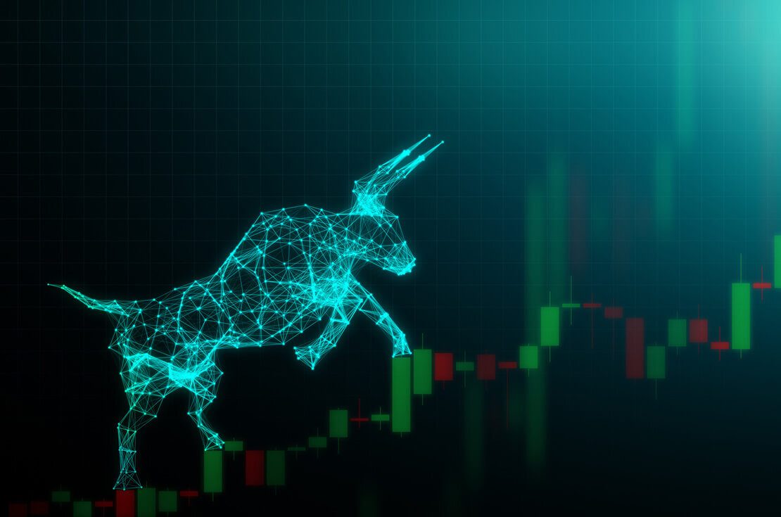 Bull market, Financial and business concept